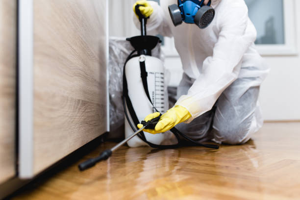 Best Cockroach Control Services  in Douglass, KS