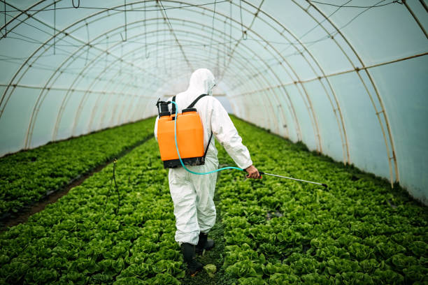 Best Affordable Pest Control Services  in Douglass, KS