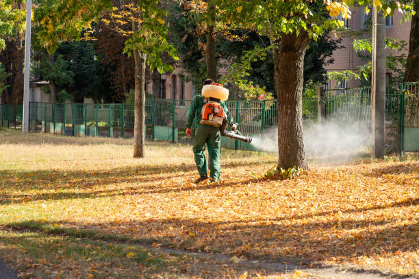 Best Mosquito Control Services  in Douglass, KS