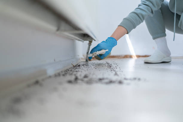 Best Exterminator Services  in Douglass, KS